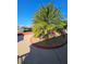 A verdant palm tree provides a tropical accent to the waterfront backyard, blending natural beauty and waterfront charm at 13633 Britton Dr, Hudson, FL 34667