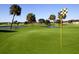 Lush green golf course with manicured lawns, mature trees, and a checkered flag on the putting green at 1710 New Bedford Dr, Sun City Center, FL 33573