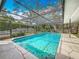 A backyard pool surrounded by landscaping, covered by a screened enclosure, and concrete pool deck at 19 Seedling Dr, Safety Harbor, FL 34695