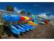 Colorful kayaks and paddles line the racks at the water's edge, ready for outdoor adventures at 2005 N Pointe Alexis Dr, Tarpon Springs, FL 34689