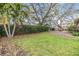 Expansive backyard featuring lush green grass, mature trees, and a well-maintained privacy hedge at 217 2Nd Sw St, Largo, FL 33770