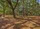 Picturesque park features beautiful mature trees with a playground and green space at 803 Helmsman Way, Palm Harbor, FL 34685