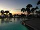 Inviting pool area with tropical palm trees and a colorful sunset backdrop at 100 Bluff View Dr # 417A, Belleair Bluffs, FL 33770