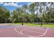 Outdoor basketball court with well-maintained surface and hoops, surrounded by trees at 10561 Greencrest Dr, Tampa, FL 33626
