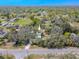 Aerial view of the home nestled among mature trees at 12303 Greenland Dr, Riverview, FL 33579
