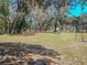 Expansive backyard featuring mature trees and lush green grass at 12303 Greenland Dr, Riverview, FL 33579