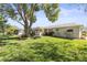 Expansive backyard featuring mature trees and the home's exterior at 1489 Dundee Dr, Palm Harbor, FL 34684
