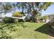 Large backyard with a mature shade tree offering ample space for outdoor activities at 1489 Dundee Dr, Palm Harbor, FL 34684