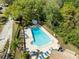 Aerial view of a bright blue community pool surrounded by lounge chairs and lush greenery at 1489 Dundee Dr, Palm Harbor, FL 34684