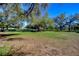 Picturesque backyard featuring mature trees and a charming treehouse at 16349 Spring Valley Rd, Dade City, FL 33523