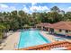 Aerial view of the inviting pool area with lounge chairs, palm trees, and shaded seating for relaxation at 1712 Hammock Pine Blvd # 1712, Clearwater, FL 33761