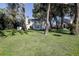 Spacious backyard with large trees and lush green lawn, perfect for outdoor activities at 18715 Lakeshore Dr, Lutz, FL 33549