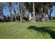 Lush green backyard with mature trees, a tire swing, and a glimpse of the white two-story home at 18715 Lakeshore Dr, Lutz, FL 33549