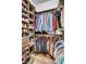 Organized walk-in closet features wooden shelves, hanging rods, and ample storage space at 2659 Keystone Springs Rd, Tarpon Springs, FL 34688