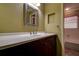 Bathroom with a wood cabinet, a white countertop and a decorative mirror at 4031 Bluff Oak Ct, Palm Harbor, FL 34684