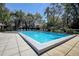 Community pool with plenty of lounge seating at 4031 Bluff Oak Ct, Palm Harbor, FL 34684