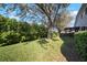 View of the backyard with a screened patio attached to the house and surrounded by lush landscaping at 12339 Silton Peace Dr, Riverview, FL 33579