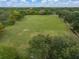 Aerial view of a large open grassy field surrounded by trees and benches at 12339 Silton Peace Dr, Riverview, FL 33579