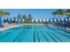 A beautiful pool with blue and white striped canopies, perfect for a relaxing swim at 15657 Aurora Lake Cir, Wimauma, FL 33598
