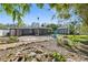 Landscaped backyard featuring a pea gravel lounge area and screened in lanai at 311 W Fern St, Tampa, FL 33604