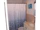 Bathroom features white vanity and sink, a floral designed shower curtain at 8455 112Th St # 202, Seminole, FL 33772