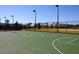 Outdoor basketball court featuring professional lighting, white court lines, and a well-maintained green surface at 9296 Gladsome Dr, Land O Lakes, FL 34637