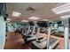 Modern gym with treadmills and cardio equipment, perfect for maintaining an active lifestyle at 345 Bayshore Blvd # P9, Tampa, FL 33606