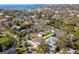 Beautiful aerial view of a neighborhood with lush greenery and proximity to the waterfront and nearby city at 4809 W Juno St, Tampa, FL 33629