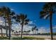 Picturesque view of palm trees lining the road with a glimpse of the blue sky and water at 538 Walden Ct, Dunedin, FL 34698