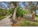 Entrance to Hammock Park, a natural oasis with walking trails and lush greenery at 538 Walden Ct, Dunedin, FL 34698