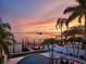 Scenic sunset view with palm trees, private dock and boat lift access, and a tranquil waterfront at 100 Driftwood W Dr, Palm Harbor, FL 34683