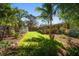 Manicured backyard featuring lush green grass, tropical foliage, and a privacy fence at 1220 Parkview Ln, Largo, FL 33770