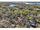 Aerial view of a home with a red roof surrounded by mature trees and a nearby lake at 14910 Northwood Village Ln, Tampa, FL 33613