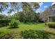 The backyard is expansive and well-maintained, offering a serene and private outdoor space with lush greenery and mature trees at 17807 Crystal Cove Pl, Lutz, FL 33548