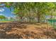 Community dog park with grassy areas, mature trees, and shade at 238 Sun Ketch Ct # 95, Treasure Island, FL 33706