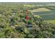 Expansive aerial view of the property showcases its private, wooded setting and inground pool at 2906 Pemberton Creek Dr, Seffner, FL 33584