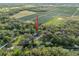 Aerial view showcases this property surrounded by lush trees and vast green space at 2906 Pemberton Creek Dr, Seffner, FL 33584