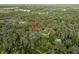 Aerial view showcases a home in lush greenery with pool and winding driveway at 2906 Pemberton Creek Dr, Seffner, FL 33584