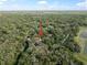 Stunning aerial view of property nestled amidst lush greenery and mature trees at 2906 Pemberton Creek Dr, Seffner, FL 33584