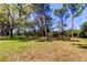 Spacious green picnic area featuring mature trees, tables and grill, perfect for Gathering gatherings and outdoor recreation at 5521 80Th N St # 315, St Petersburg, FL 33709