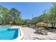 A community pool is surrounded by lush greenery and picnic tables with a thatched umbrella at 6902 El Centro Ct, Tampa, FL 33634
