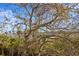 Scenic view showcasing lush trees, waterways, and buildings on a sunny day at 732 Coral Reef Dr # 732, Tampa, FL 33602