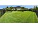 Large backyard with manicured lawn and palm tree at 6927 Crestpoint Dr, Apollo Beach, FL 33572