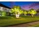 Exterior view of black metal fence surrounding manicured lawn with landscaping lights highlighting palm trees at dusk at 6927 Crestpoint Dr, Apollo Beach, FL 33572