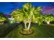 Palm trees are illuminated in the front yard, surrounded by a black metal fence and freshly cut green grass at 6927 Crestpoint Dr, Apollo Beach, FL 33572