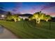 The lush, green front yard is lined with palm trees highlighted with landscape lighting and a black metal fence at 6927 Crestpoint Dr, Apollo Beach, FL 33572