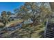 Picturesque backyard featuring waterfront views and lush, mature trees at 1010 Blue Heron Way, Tarpon Springs, FL 34689