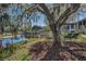Beautiful backyard with waterfront views, a mature shade tree, and a relaxing swing at 1010 Blue Heron Way, Tarpon Springs, FL 34689