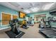 Well-equipped fitness center with modern equipment, mirrors, and natural light at 1010 Blue Heron Way, Tarpon Springs, FL 34689
