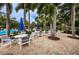 Inviting pool area with ample seating surrounded by lush palm trees and manicured landscaping at 1010 Blue Heron Way, Tarpon Springs, FL 34689